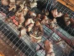 -柿子树炭烤羊腿(金台路店)