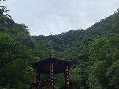 -西岭雪山大飞水景区