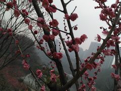 -重庆彩云湖湿地公园