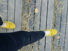 android_upload_pic-帽儿山国家森林公园