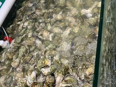 -海岸风情蒸汽海鲜自助餐厅(家宴金手勺店)