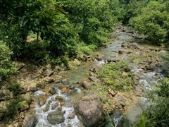 -广州白江湖森林公园