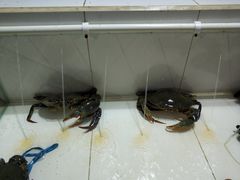 -海盗餐厅