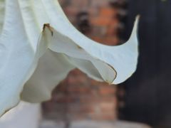 -梵几(东信·和创园店)