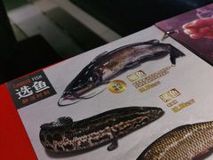 -鱼酷活鱼烤鱼(沈阳大悦城店)