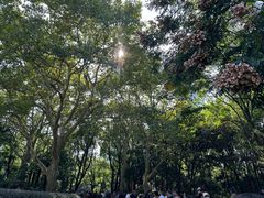 -人民公园-相亲角