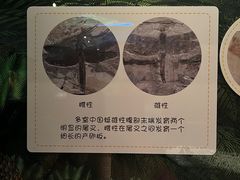-辽宁省博物馆