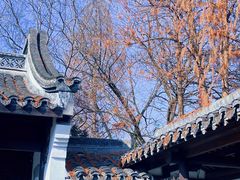 -西溪国家湿地公园