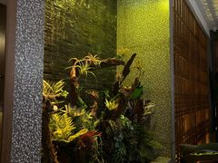 -泰适SPA馆丨精油·按摩·足道(后海地铁口店)