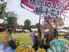 -武汉园博园(武汉自然博物馆)