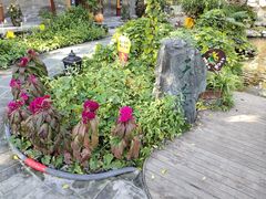 -白家大院·王府宫廷菜(苏州街店)