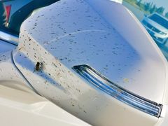 -亿利库布其七星湖沙漠生态旅游区