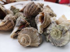 -北戴河庆山饭店·海鲜砂锅粥(北戴河黑石路店)