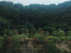 -云溪植物园