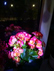 -丹漪·DANYI 美肤中心