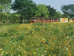 -歌斐颂巧克力小镇