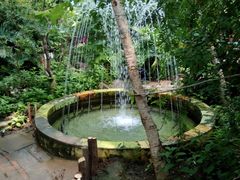 -呀路古热带植物园