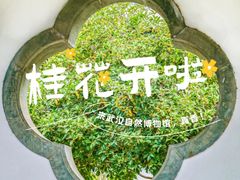-武汉园博园(武汉自然博物馆)