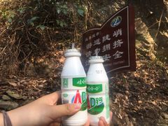 -大围山国家森林公园