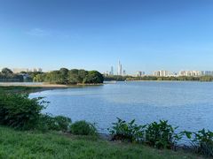 -海珠湖公园