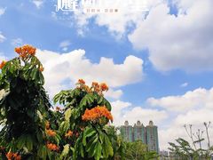 -中山市树木园