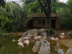 -昆明动物园