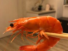 -七鲜渔港美食餐厅(巽寮湾海景店)