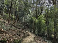 -广州市石门国家森林公园