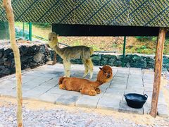 -西部长青自然儿童乐园