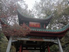 -岳麓山风景名胜区