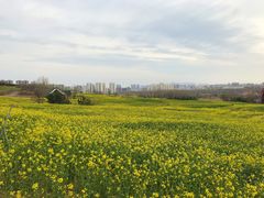 -西海岸生态观光园