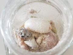 -东姑阿都拉曼海洋公园