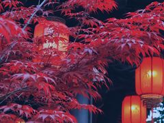 -东台西溪天仙缘景区