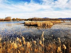 -野鸭湖国家湿地公园