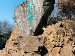 -惠山国家森林公园