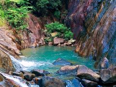 -广州白江湖森林公园