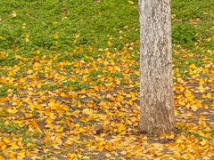 -汉长安城未央宫国家考古遗址公园
