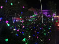-巨鹏飞梦幻海岸