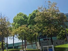 -四川宋瓷博物馆