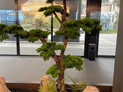 -椿杨樘·明康泡浴养生馆(重庆店)