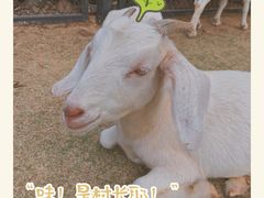 -无锡动物园·太湖欢乐园