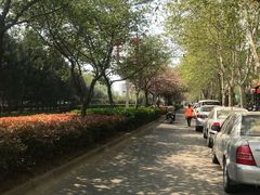 -老雒阳面馆·水席(定鼎门店)