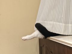 -路易时光(蕴川路店)