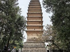 -洛阳白马寺