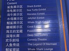 -烟台海昌鲸鲨海洋公园