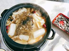 -蘑统田下·野生菌火锅