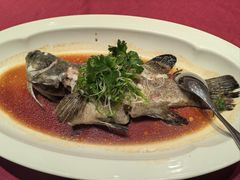 -顺峰(农展馆店)