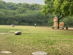 -苏州上方山国家森林公园