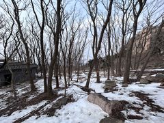 -泰山风景名胜区