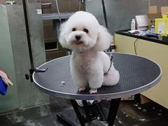 -美联众合动物医院(唯恩分院)